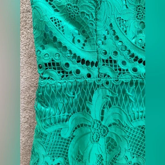 Lilly Pulitzer Brazilian Green Risette Lace Dress - Picture 6 of 15